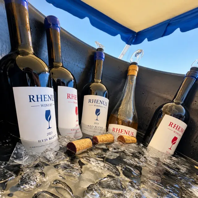 Botellas de vino Rhenus enfriándose en hielo junto a sus corchos, bajo un toldo azul