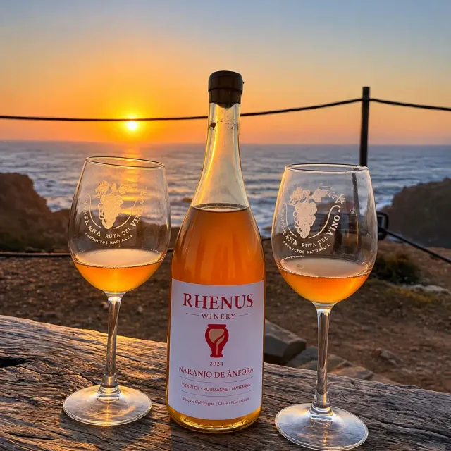 Botella de Rhenus Naranjo de Ánfora 2024 entre dos copas de vino naranjo, al atardecer frente al mar