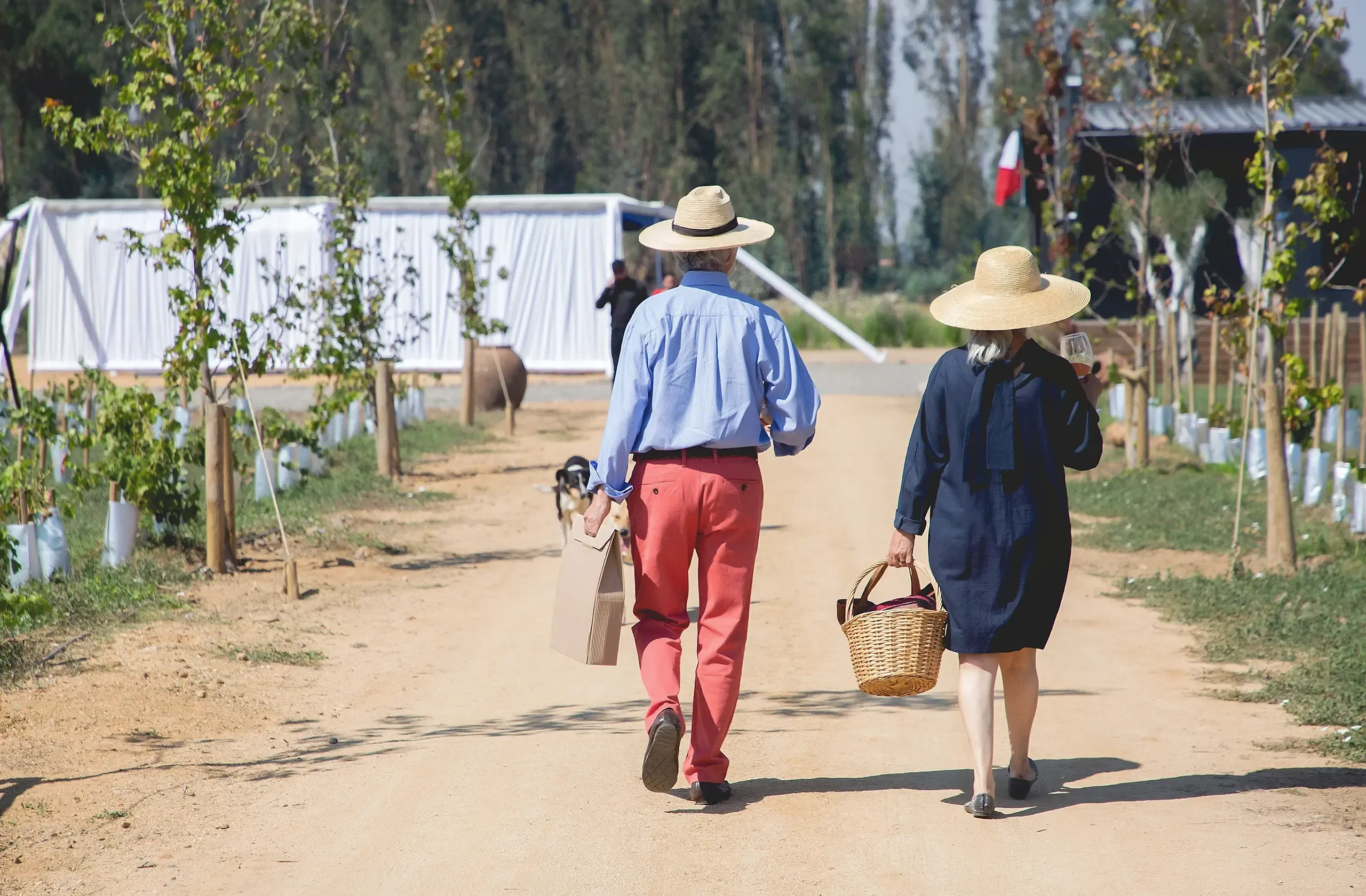 Una pareja con sombreros de paja camina por el camino de entrada de Rhenus, con una copa de vino y un canasto, entre los árboles jóvenes del viñedo