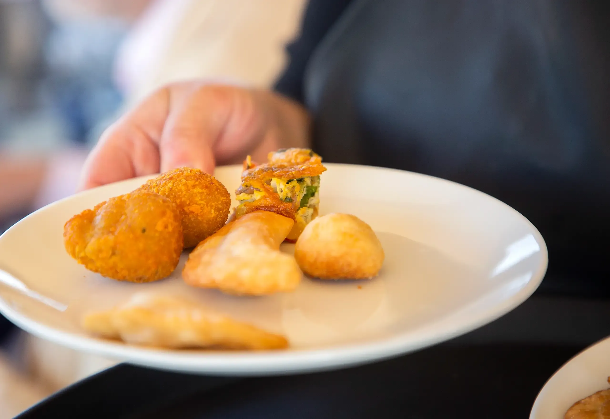 Un plato blanco con bocados brasileños recién fritos —croquetas, pastel y empanaditas— servido en la mesa de la viña