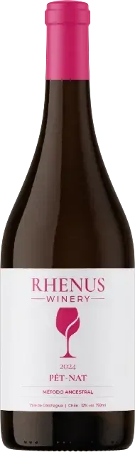 Botella de Pét-Nat 2024, espumante de uva País por método ancestral